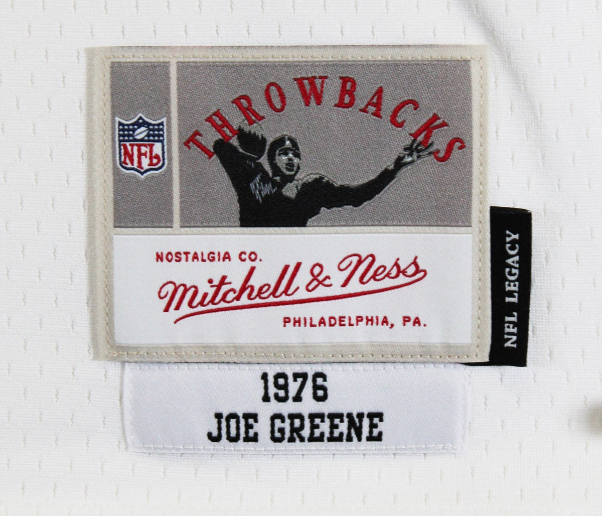 Steelers Joe Greene "Career Stat" Signed White M&N TB Jersey BAS Wit #3W142112