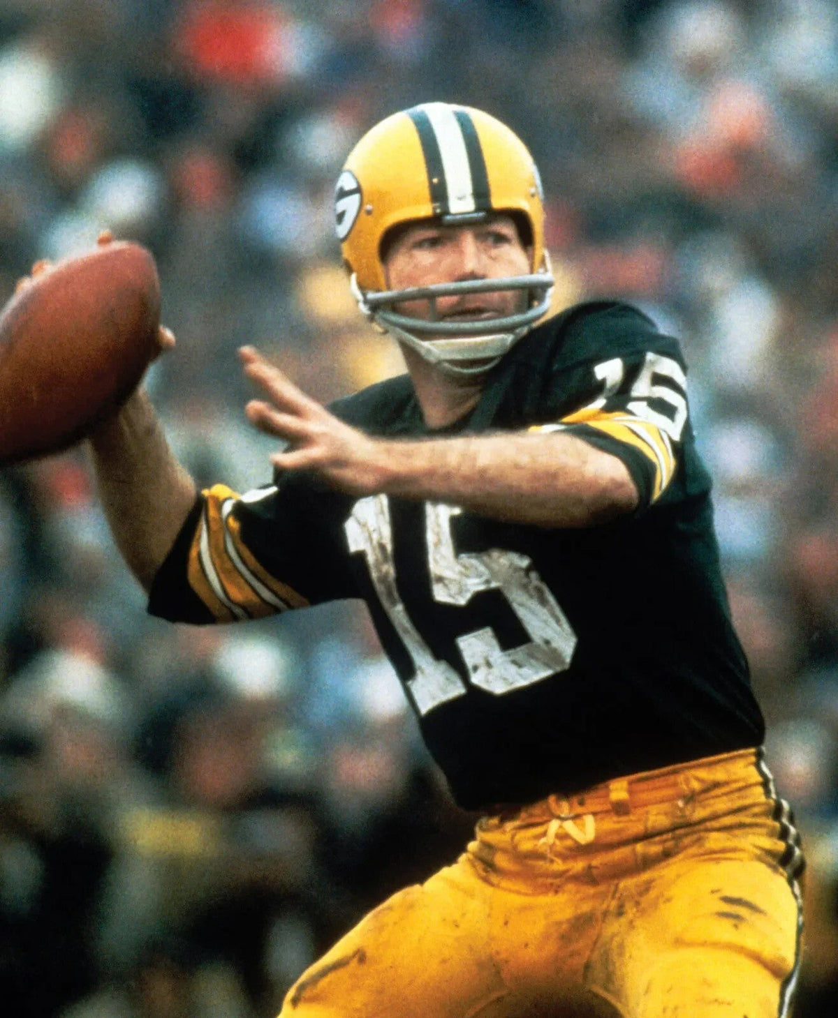 Green Bay QB Bart Starr Signed Packers Framed Display (JSA COA) w/ Lambeau M.B.
