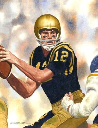 Roger Staubach Signed Navy Midshipmen Career Highlight Stat Jersey (JSA COA) Q.B