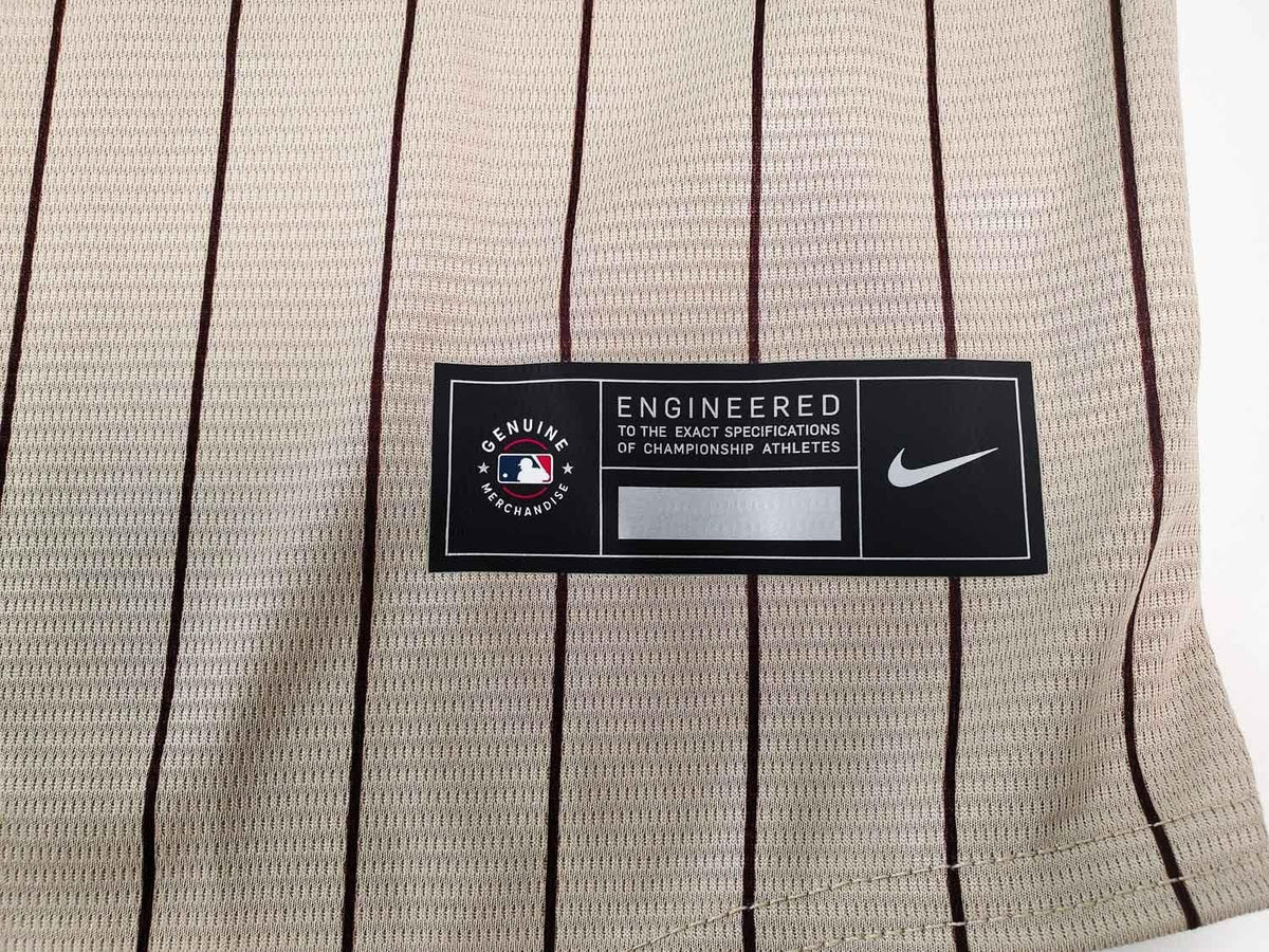 Fernando Tatis Jr. Signed San Diego Padres Nike Replica Jersey (Fanatics & MLB)