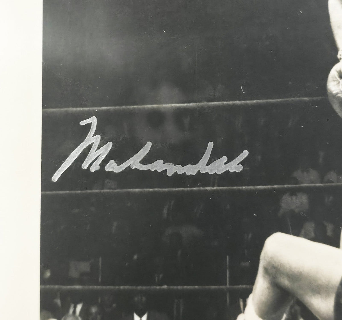 Muhammad Ali Auto 6.75x7.75 Photo Auto GM 10 Over Sonny Liston Beckett #18630330