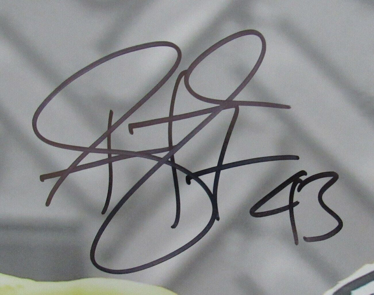 Troy Polamalu HOF Pittsburgh Steelers Signed/Autographed 16x20 Beckett 164499