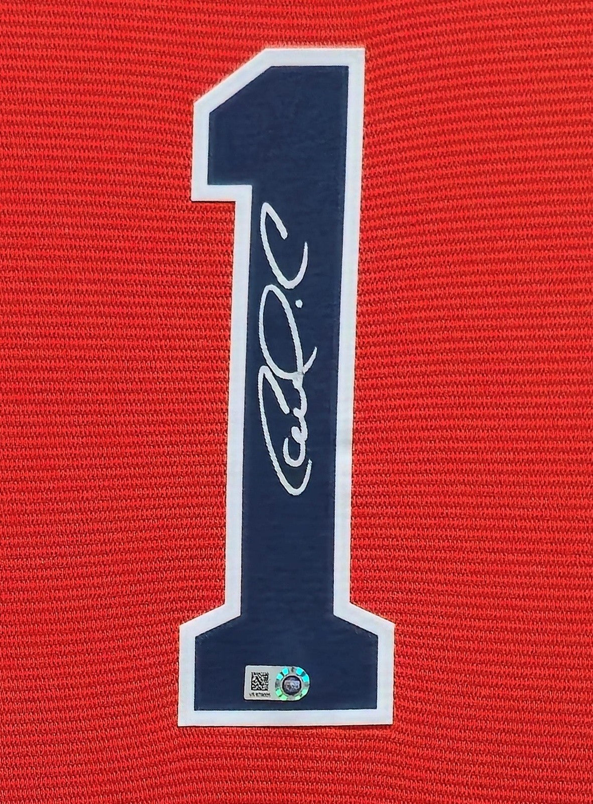 SUEDE FRAMED HOUSTON ASTROS CARLOS CORREA AUTOGRAPHED SIGNED JERSEY MLB HOLO