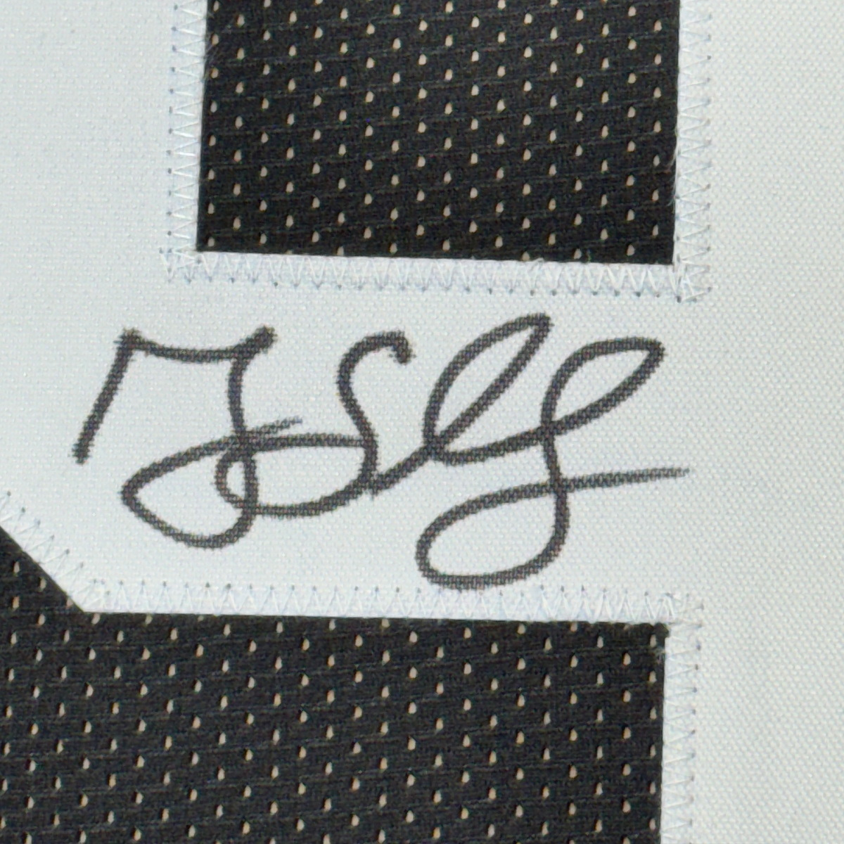 Framed Autographed/Signed Greg Lloyd 35x39 Pittsburgh Black Jersey Beckett COA