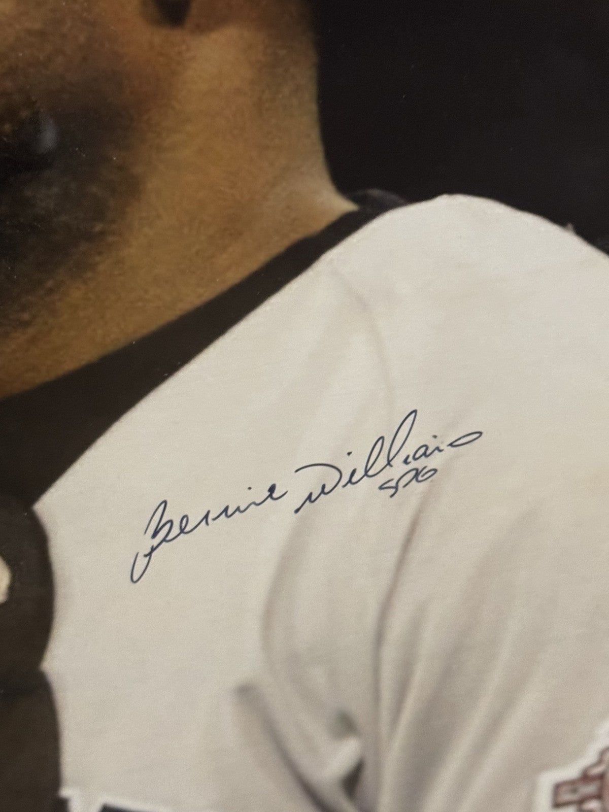 Derek Jeter & Bernie Williams Signed Autographed 16x20 Photo Framed Steiner