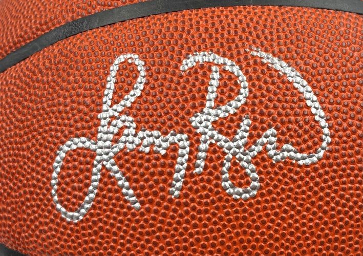 Larry Bird Boston Celtics Signed Wilson NBA Basketball Bird+PSA/DNA w/ Case