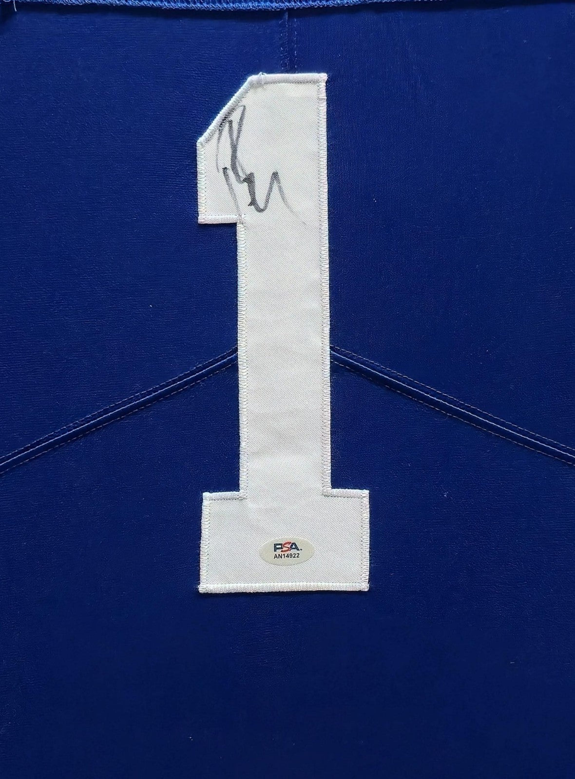 FRAMED INDIANAPOLIS COLTS PAT MCAFEE SIGNED JERSEY PSA COA